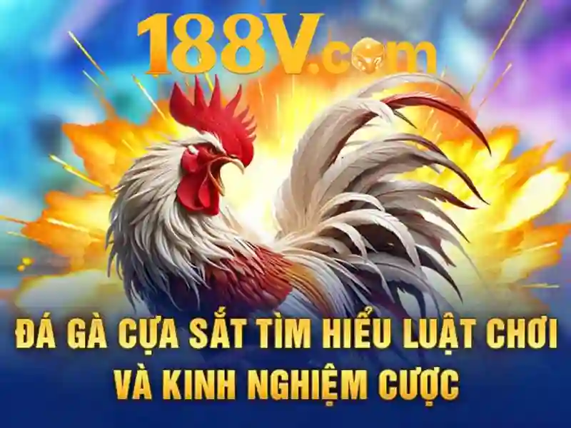 Nguồn gốc và khung ý tưởng