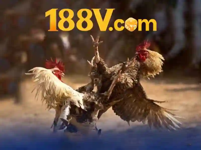 188V và nhịp thở của dữ liệu