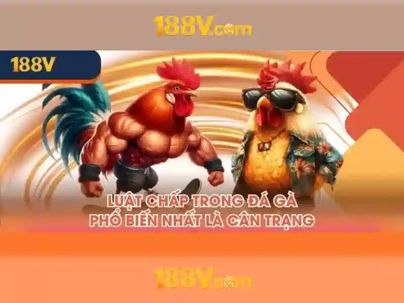 Nguồn gốc và ý nghĩa