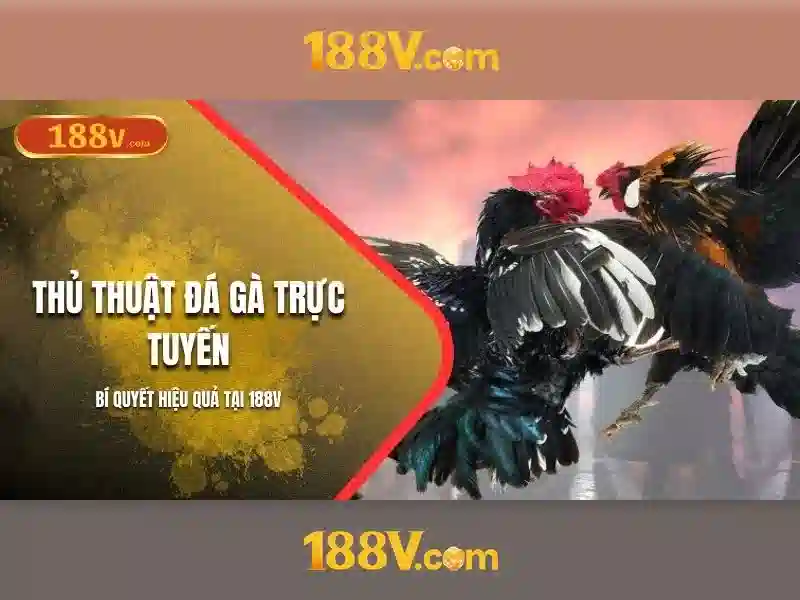 188v: Khai phá một khái niệm mở