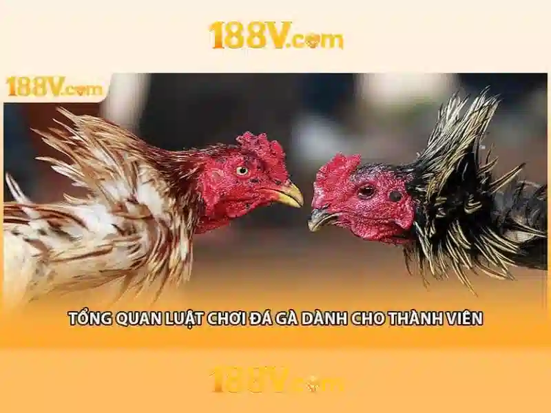 188V: Khái niệm, ý nghĩa và tương lai