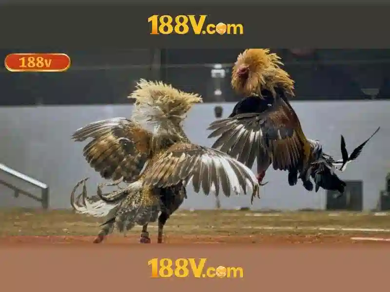 188V: hành trình khám phá điện áp và công nghệ