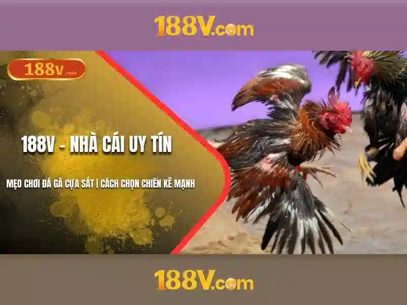 188V: nguồn gốc và ý nghĩa