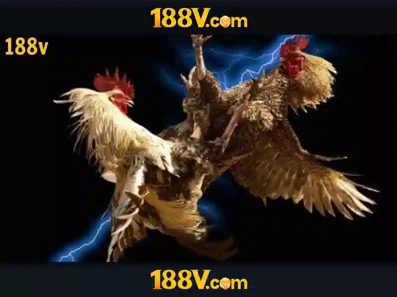 188v là gì