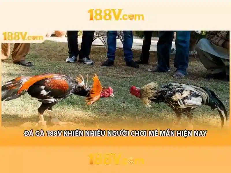 188V: Con số và ý nghĩa của một điện áp