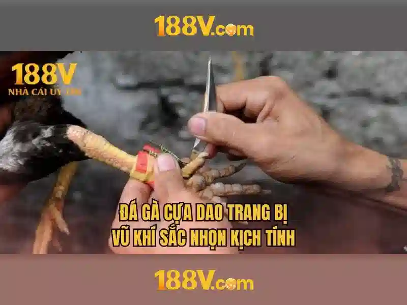Tương lai của 188v
