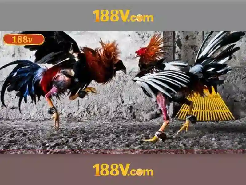 Khám phá 188v