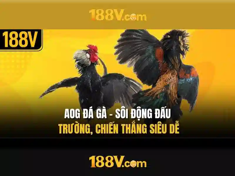 Kết luận và tương lai 188v
