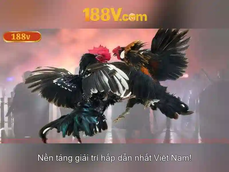 Ứng dụng và ảnh hưởng