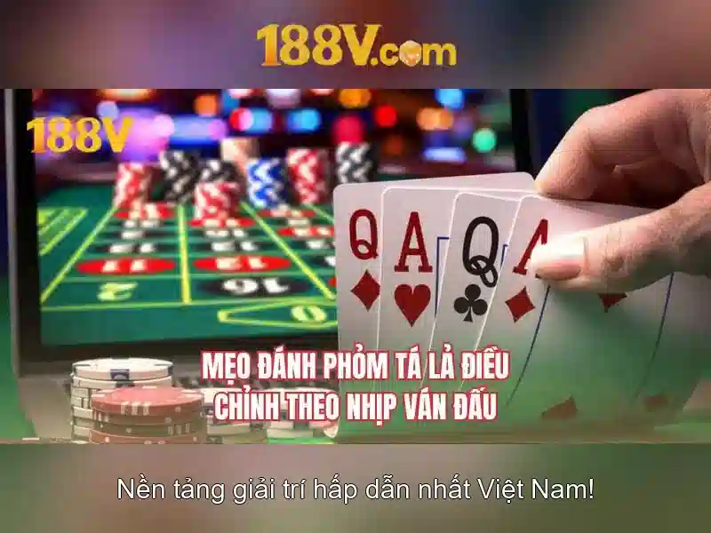 An toàn và quản lý rủi ro
