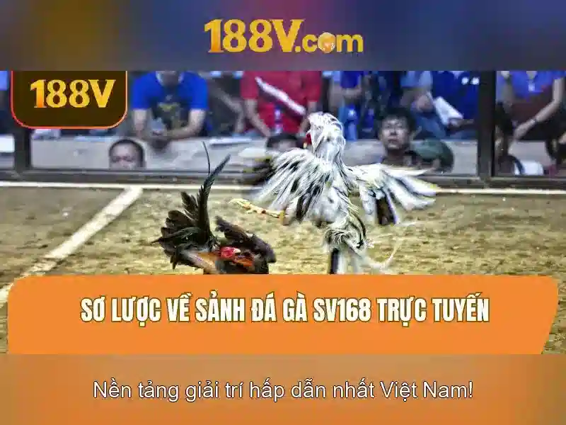 Nguồn gốc và cấp nguồn