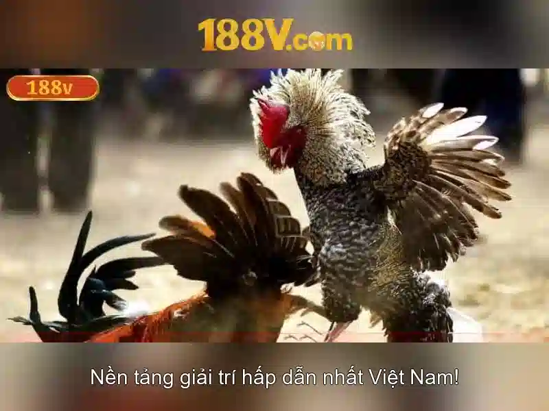 Kham pha 188V: mot khai niem dien ap dat biet