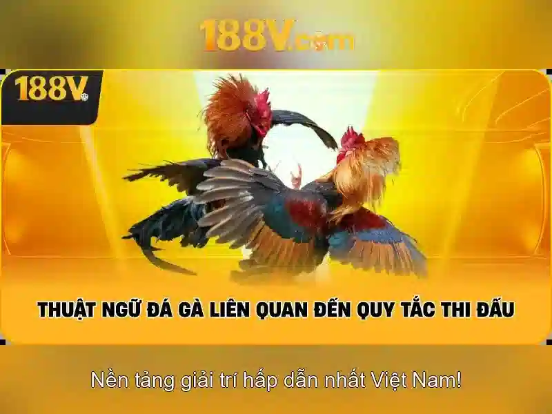 Khí lực và nhịp thở của thành phố