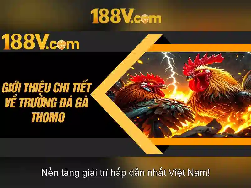 Khám phá 188V