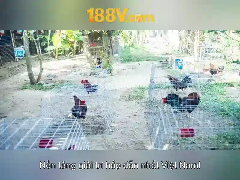 188V: Dòng điện ký ức và đô thị tương lai