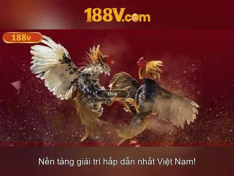 Khái niệm cơ bản của 188V