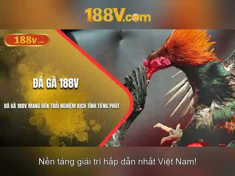 188v là gì và ý nghĩa của nó trong công nghệ số