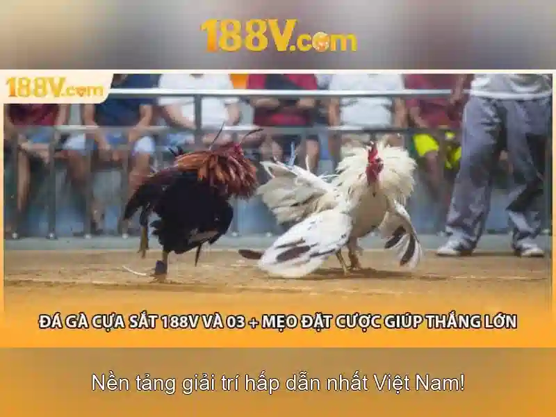 188v và hành trình của điện áp đặc biệt